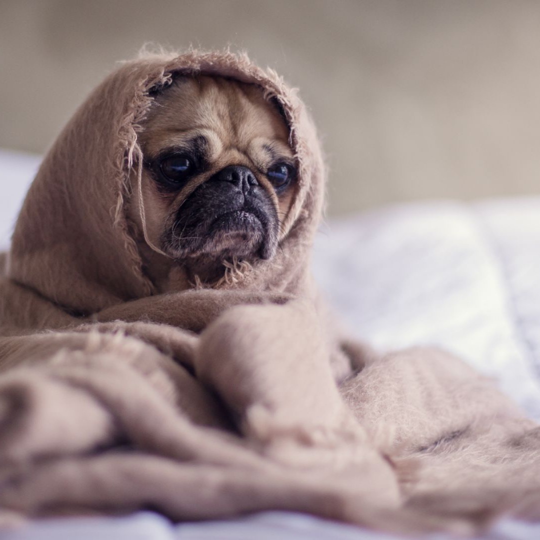 Night routine for better sleep